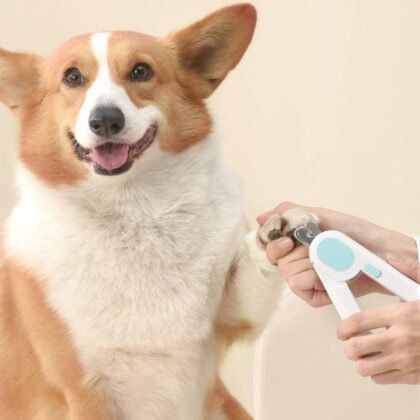LED Light Pet Nail Clipper with Safety Guard