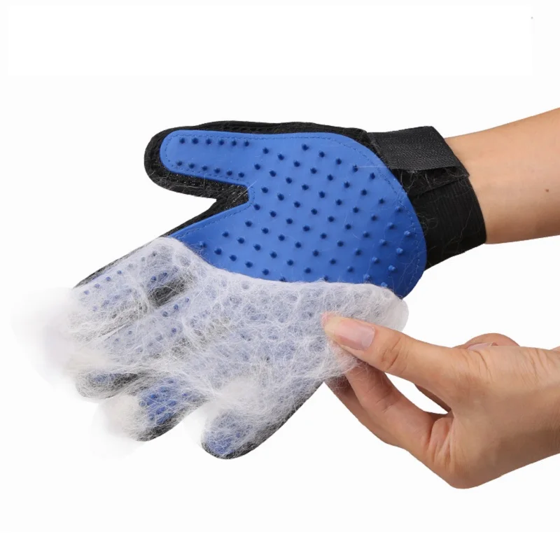 Gloves and brushes for loose fur and coat care.