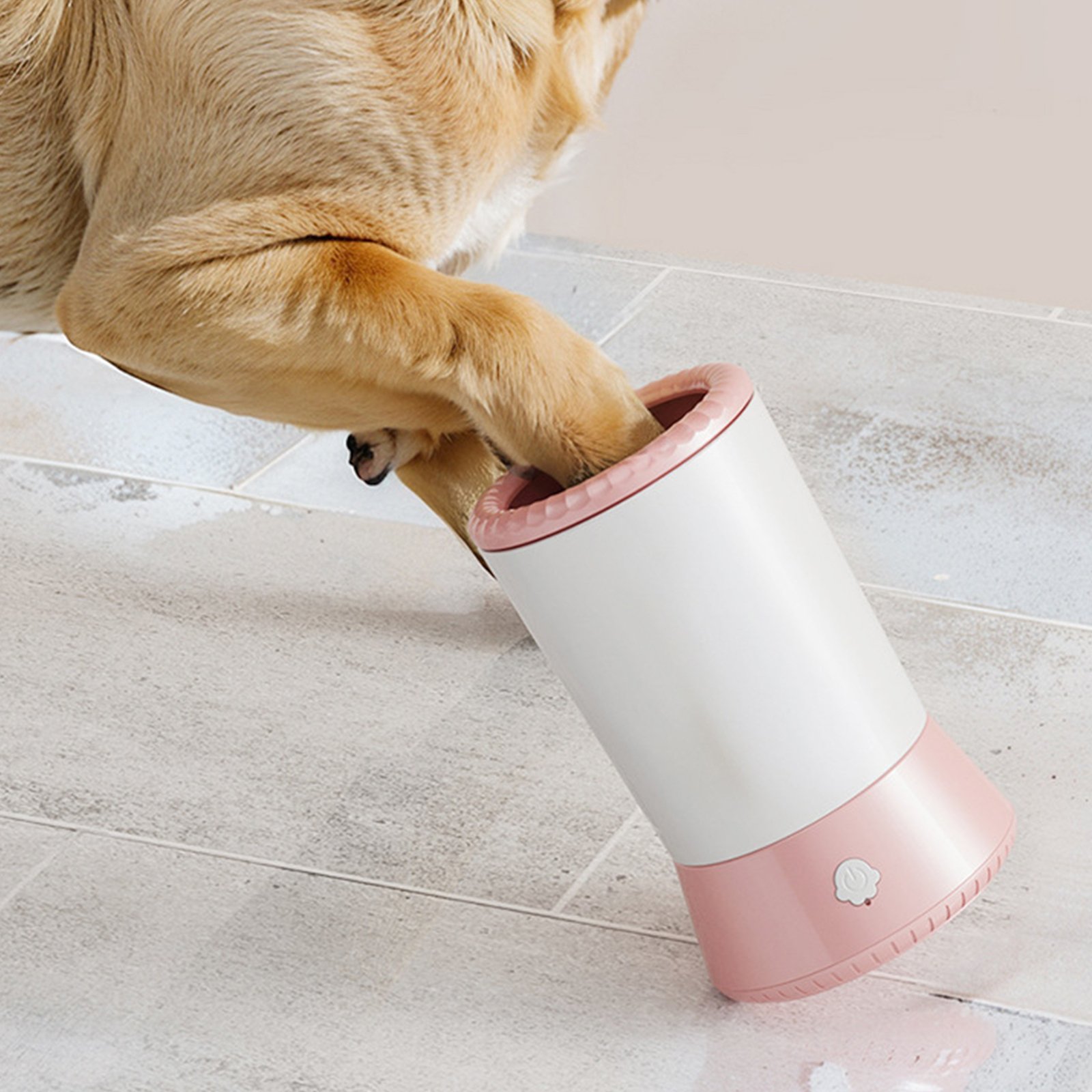 Paw cups for muddy walks and coming-home mess.