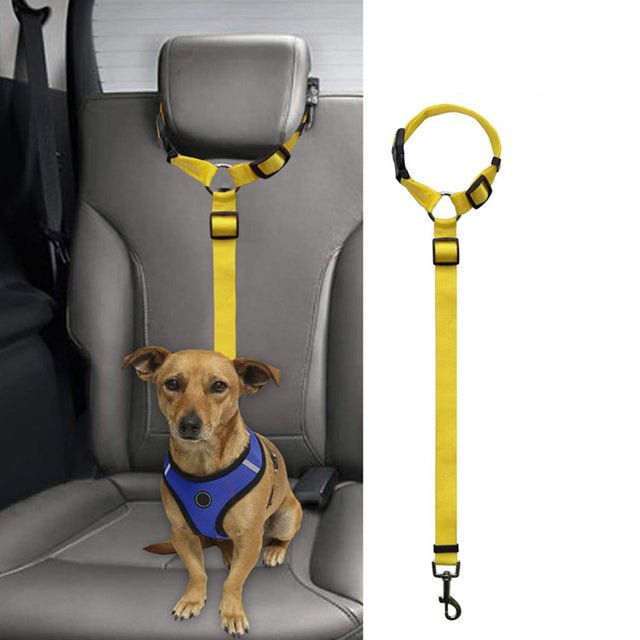 Car safety harnesses for dogs on the road.