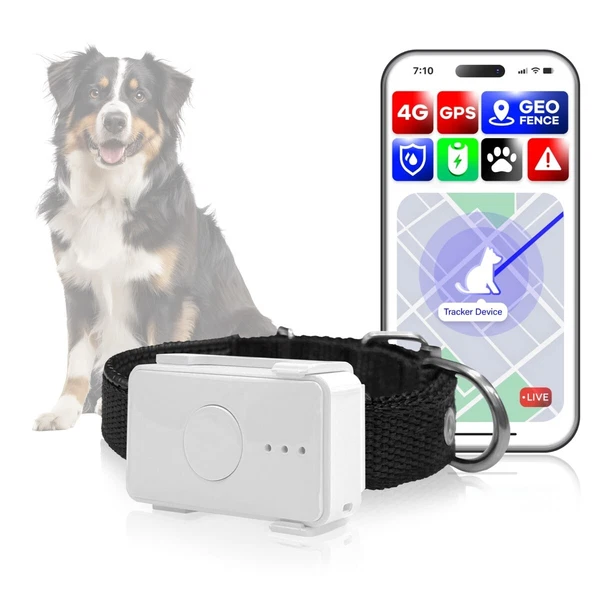 Ask us about fit, size or the right tool for your pet.