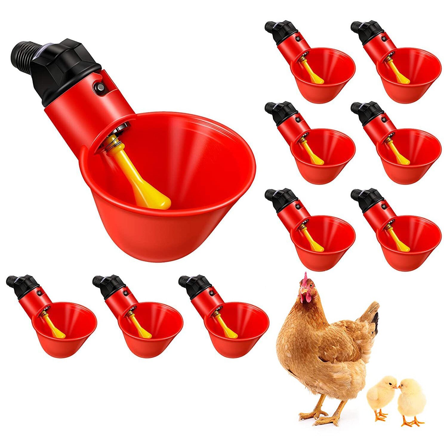Waterer cup kits for a steady flock routine.